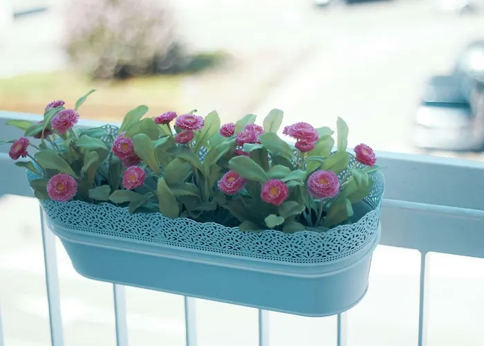 Casa Do Avo Διαμέρισμα