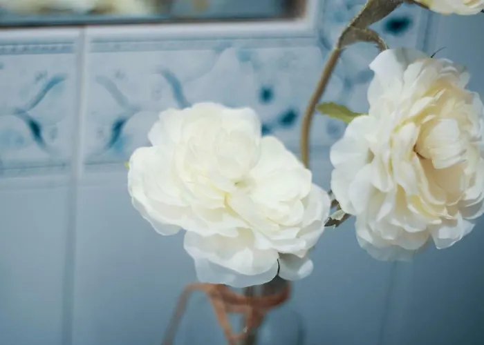 Casa Do Avo * Πόρτο