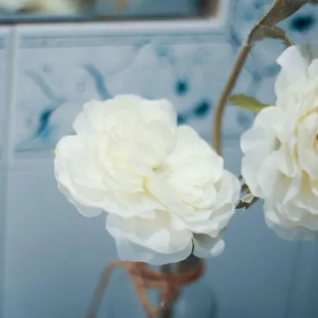 Casa Do Avo * Порту